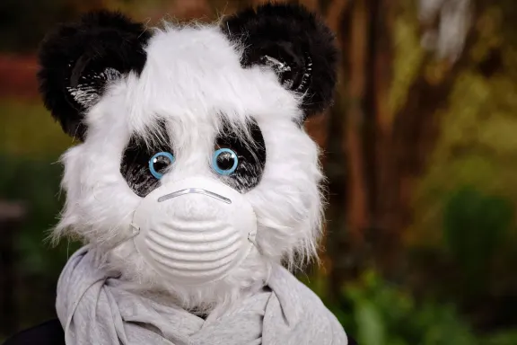 West Casino Ondersteuning